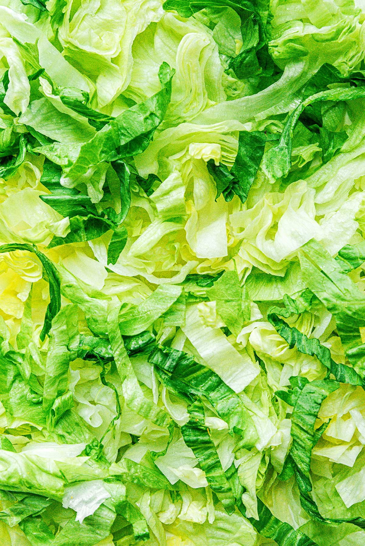 An up-close view detailing the color and texture of shredded iceberg lettuce