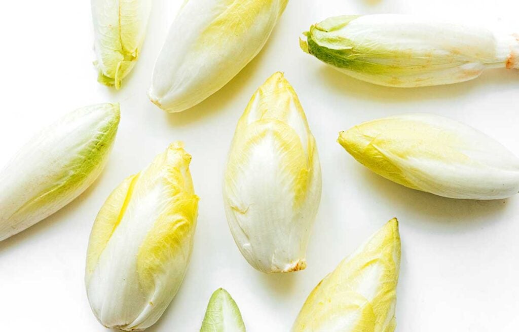 Nine yellow and white endives arranged on a white background