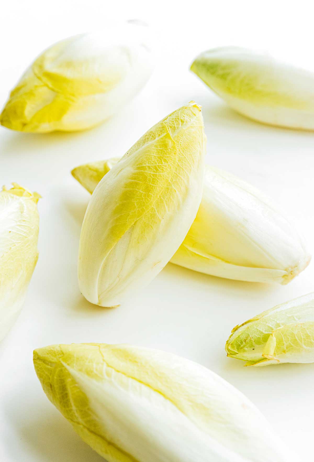 Seven light yellow endives arranged on a white background