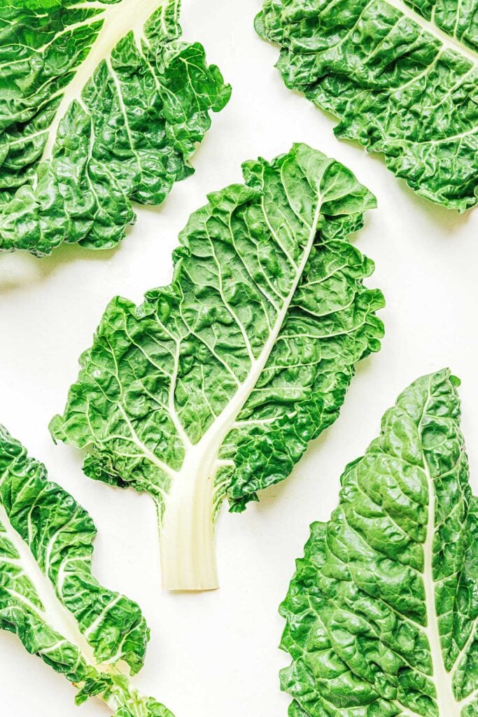 Five barese chard leaves arranged on a white background