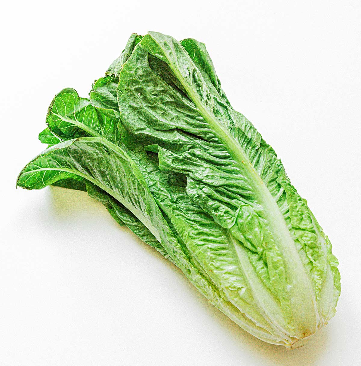 A fresh romaine heart on a white background