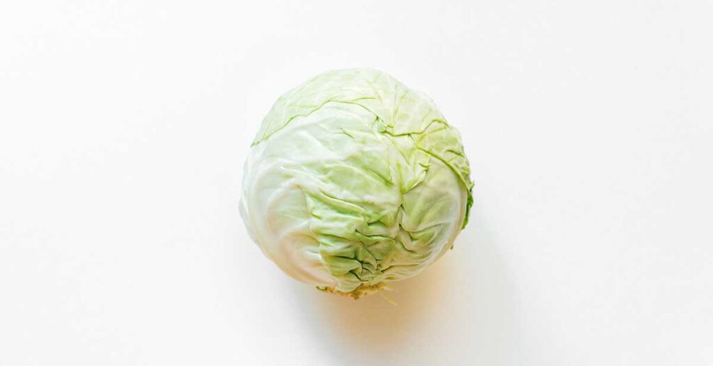 A full head of cabbage on a white background