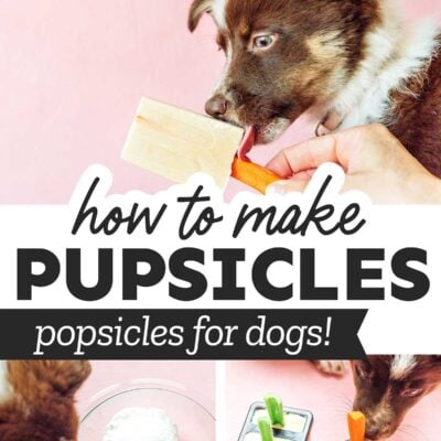 5 Homemade Pupsicle Recipes to Keep Your Dog Cool This Summer - Luxe  Adventure Traveler