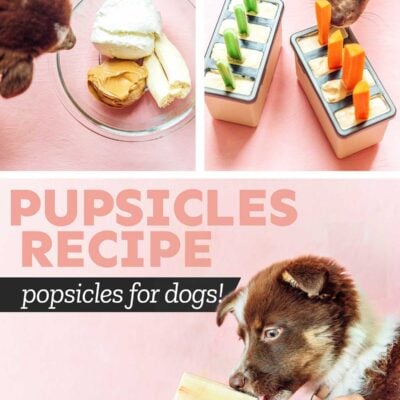 The BEST Pupsicles Recipe (Dog Popsicles!)