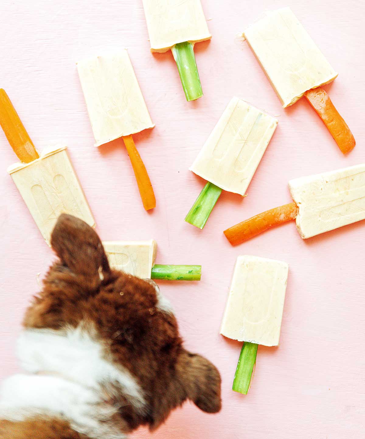 Dog eating dog pupsicles with carrot and celery sticks