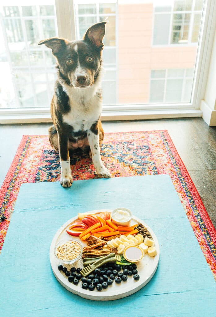 A barkuterie board placed on a blue background as a dog sits close by and looks at the camera