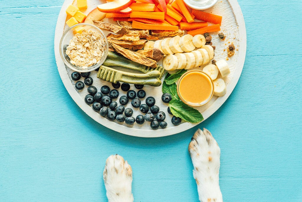 A barkuterie board on a blue background with a pair of dog paws peaking into the frame
