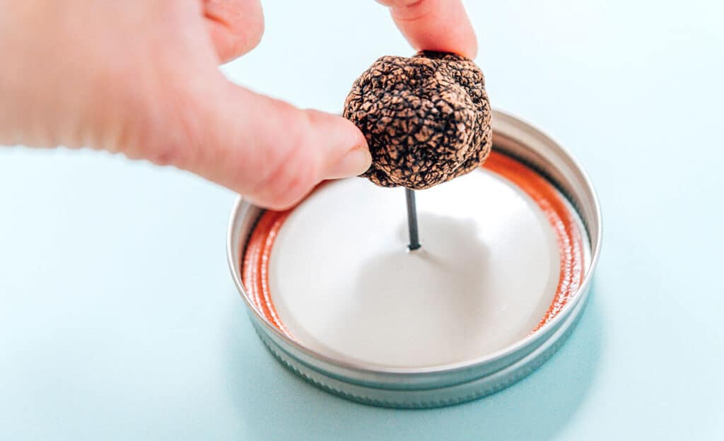 A hand affixing a black truffle to a nail punched through the top of a mason jar lid