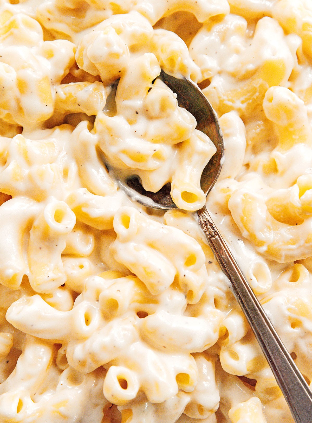 A close up view detailing the texture and creaminess of truffle macaroni and cheese