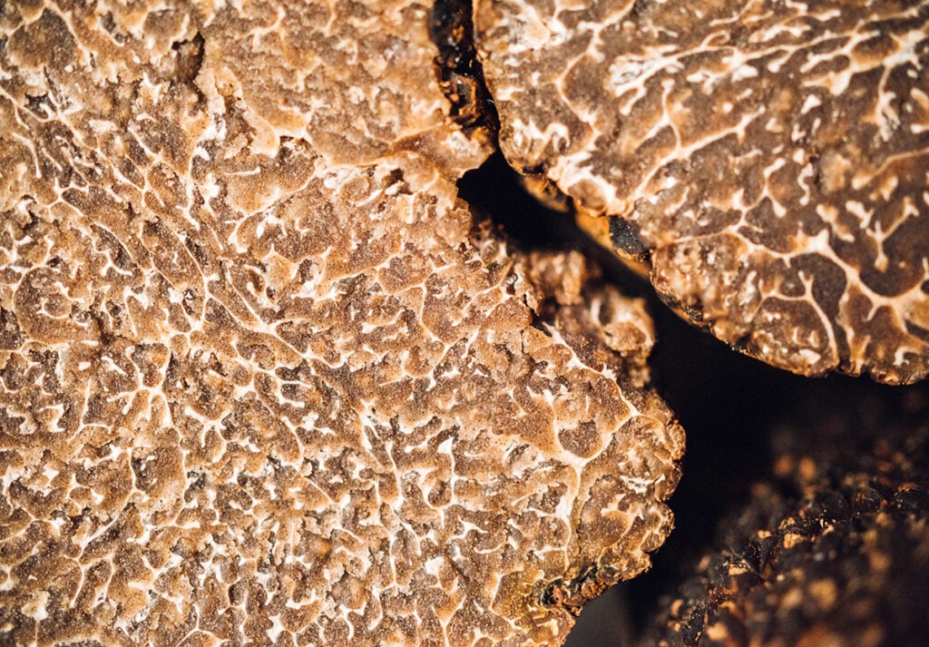 An up close view detailing the textures and colors of the inside of a black truffle