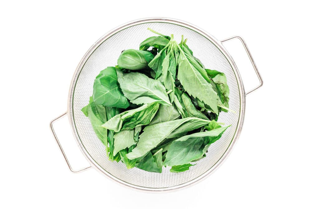 A strainer filled with uncooked basil leaves