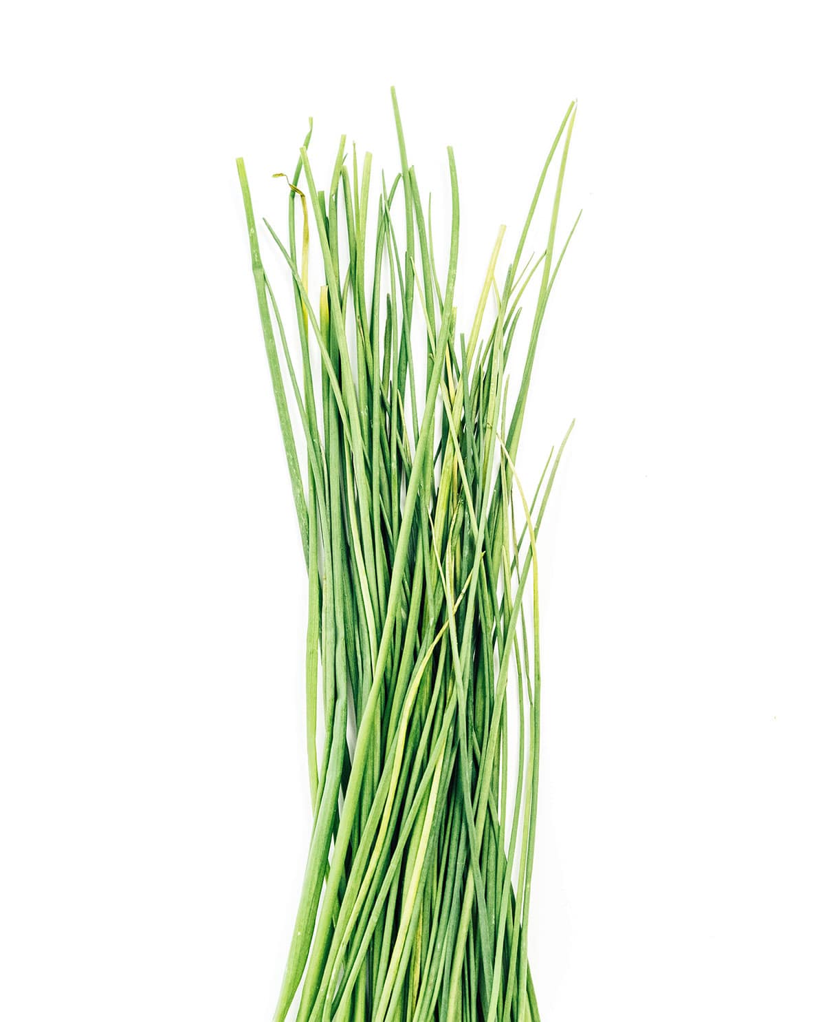 A bunch of chives on a white background