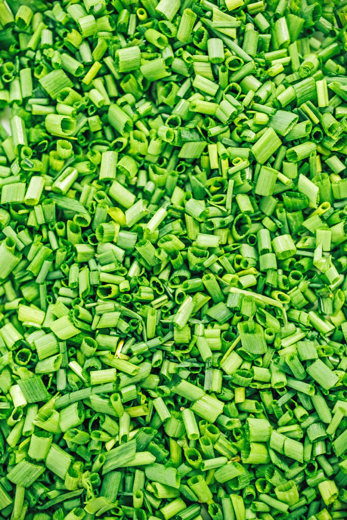 An up close view at an image filled with sliced chives
