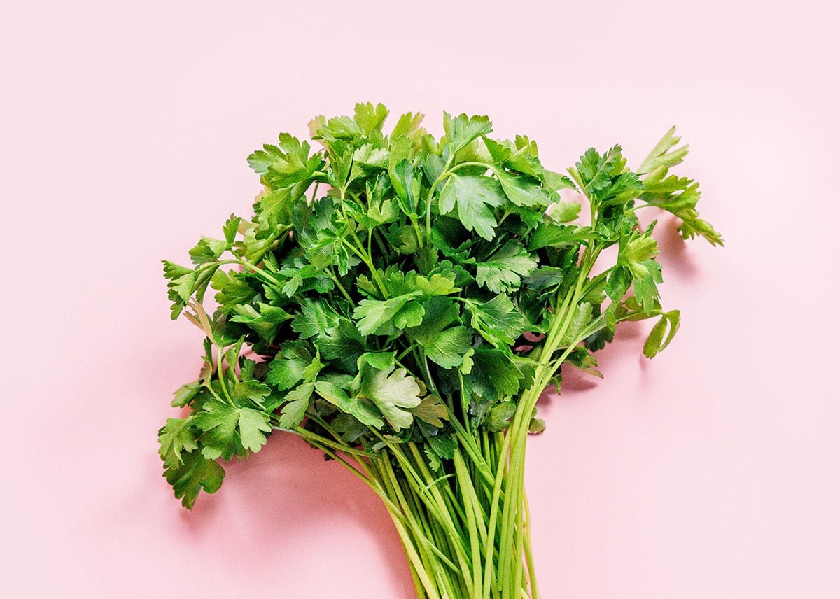 A head of parsley resting on a pink background