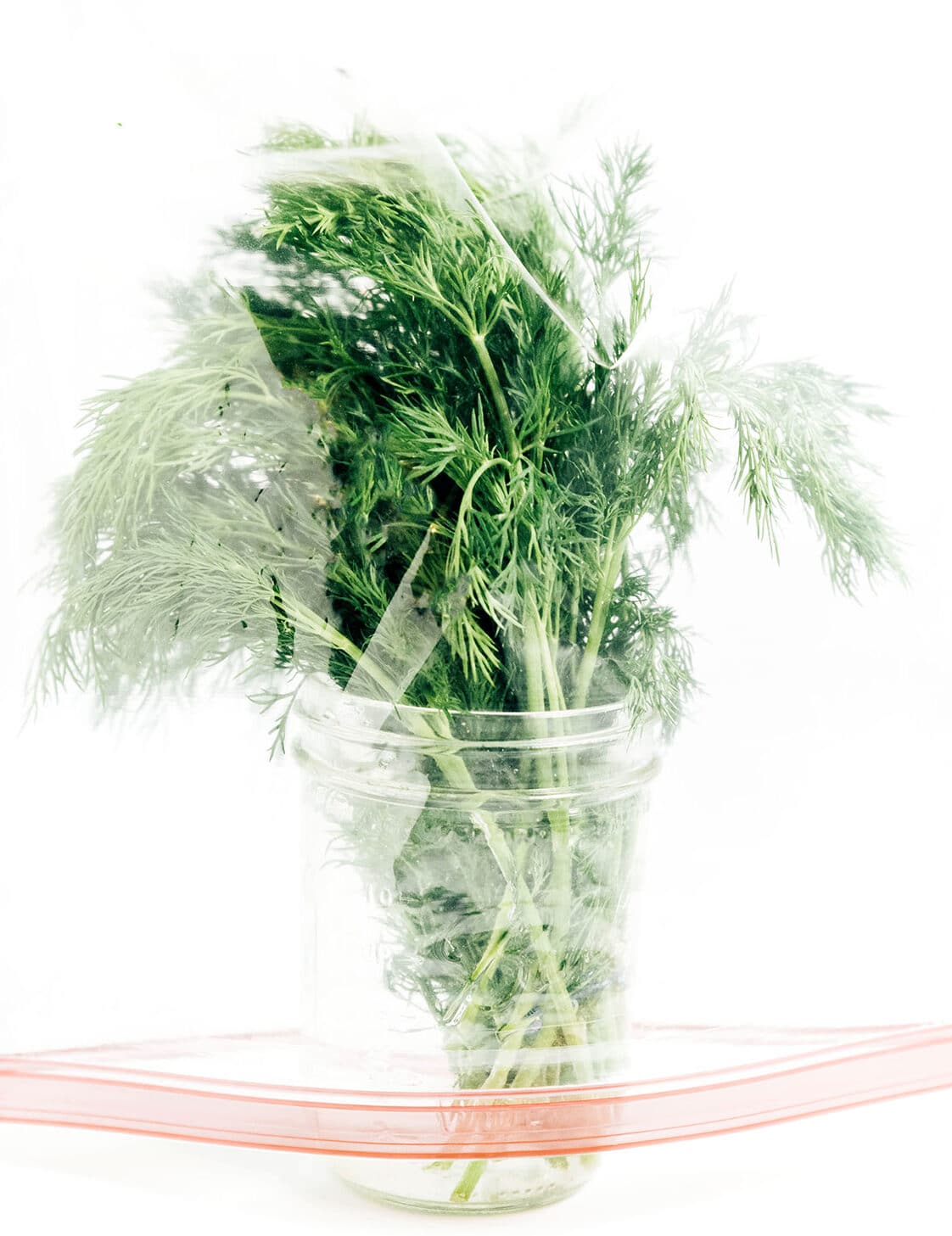 A plastic baggie on top of a bunch of dill resting inside a mason jar filled with water