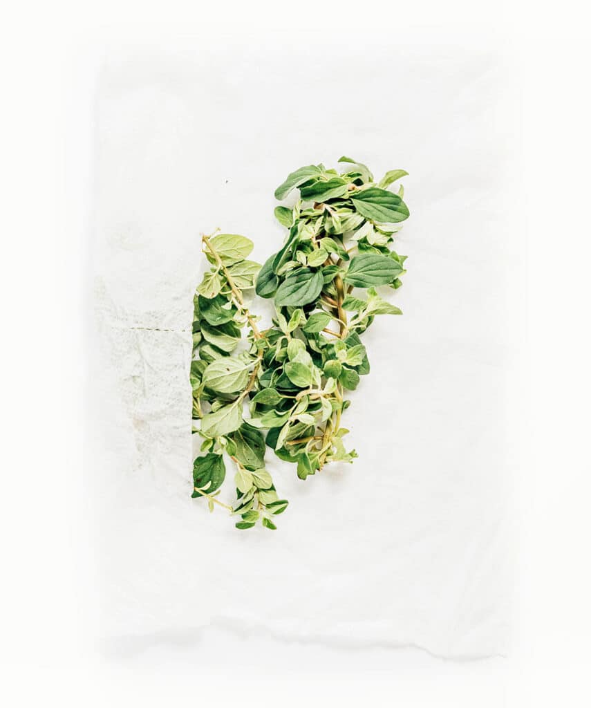 A few sprigs of oregano wrapped in a damp paper towel