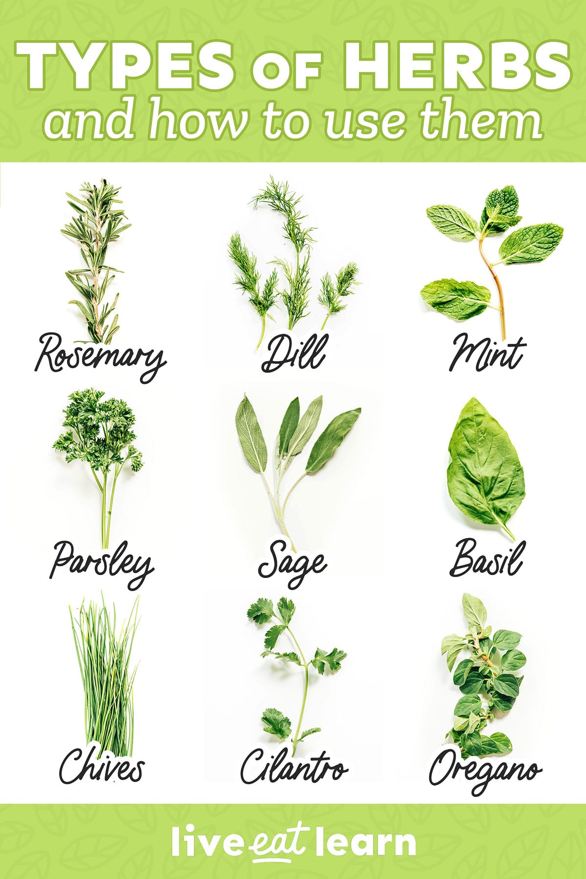 Different types of herbs labelled on a white background