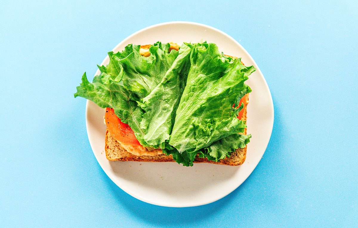 Lettuce on top of tomato on a slice of toast on a white plate.