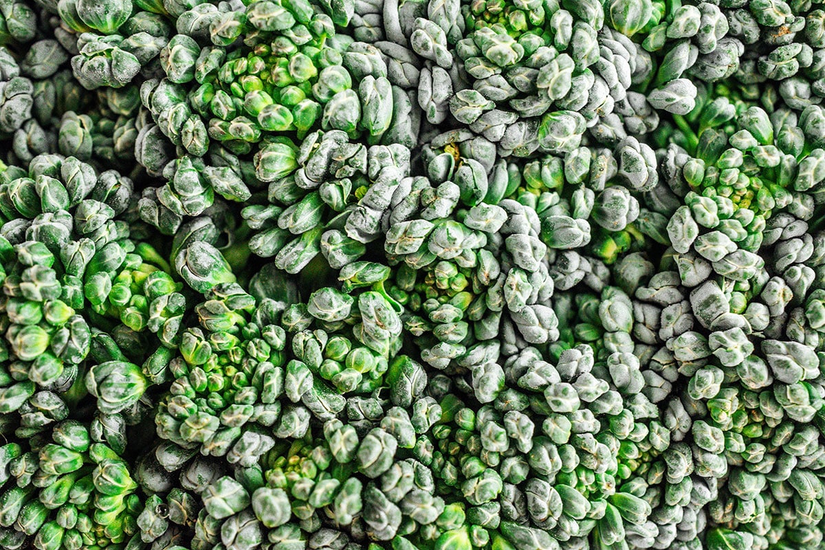 Macro photo shot of broccoli