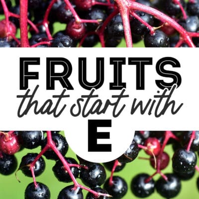 Decorative image that says "fruits that start with e"
