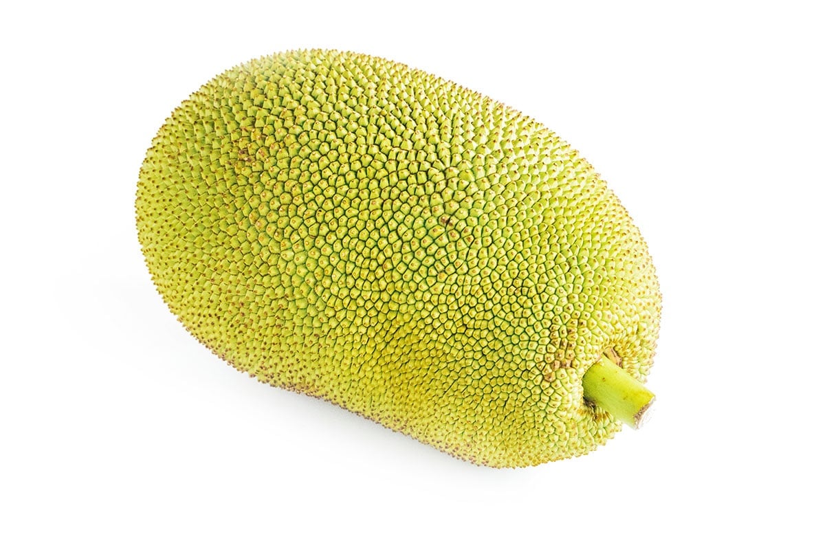A whole jackfruit that is green in color, with a green thick stem, and a spiky and geometric pattern.