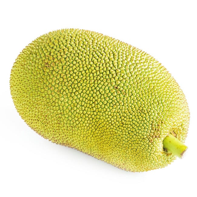 Picture of a green jackfruit on a white background