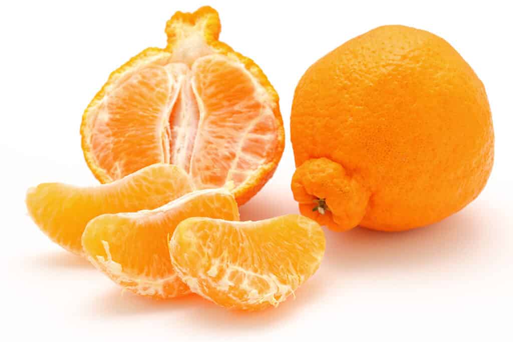 Dekopon citrus on a white background.