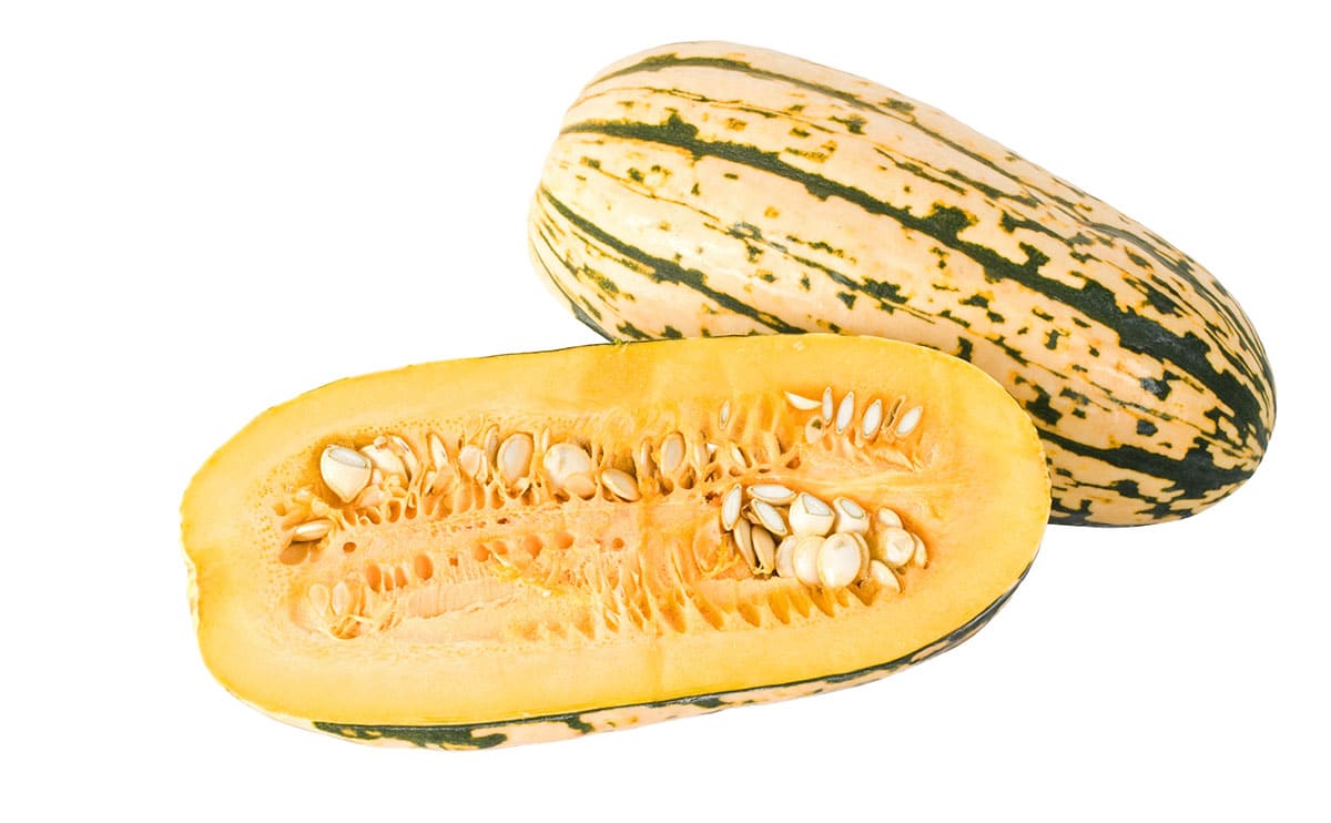 Delicata squash on an isolated white background.