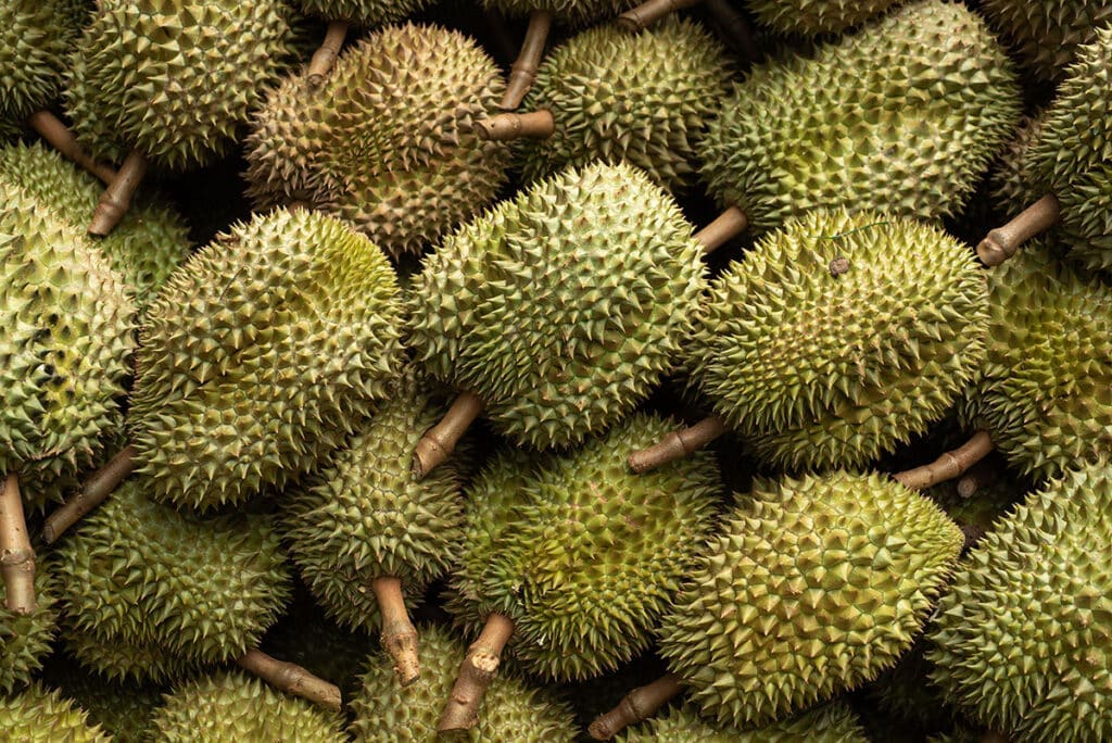 Many durian fruits