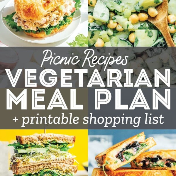 Collage of photos with the text "vegetarian meal plan"