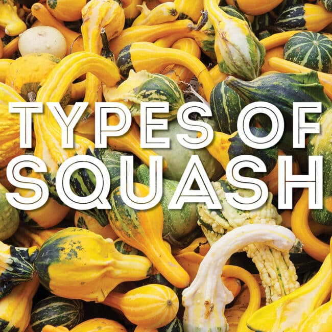 Decorative image of many yellow and green squash that says "types of squash"