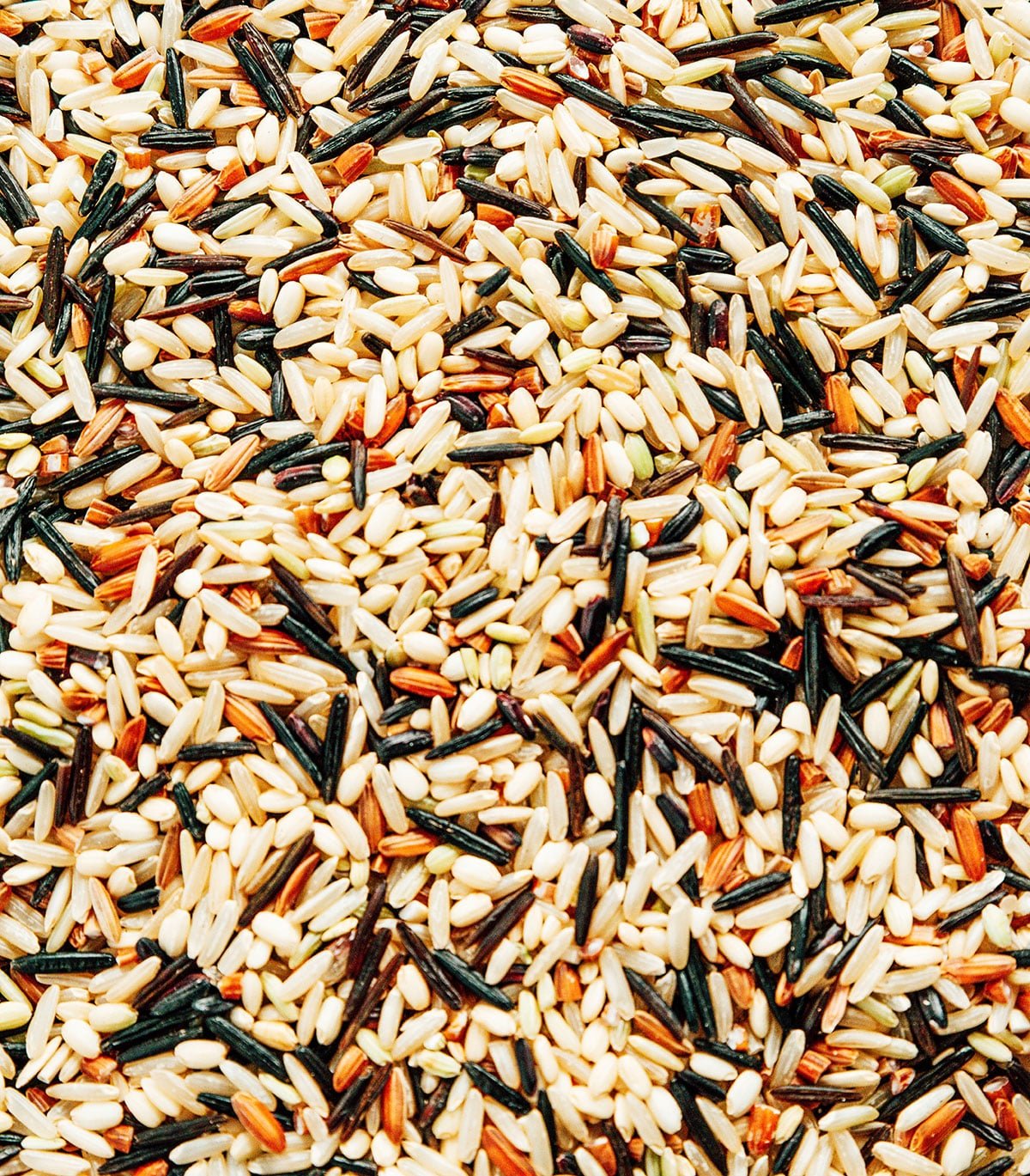 Close up of wild rice.