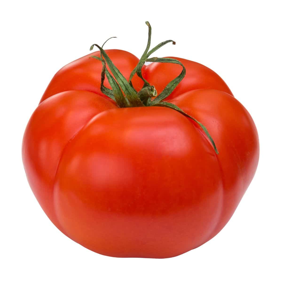 Beefmaster tomato on a white background.