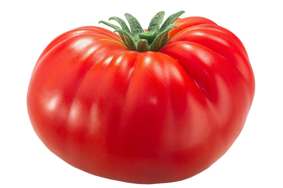 Beefsteak tomato on a white background.