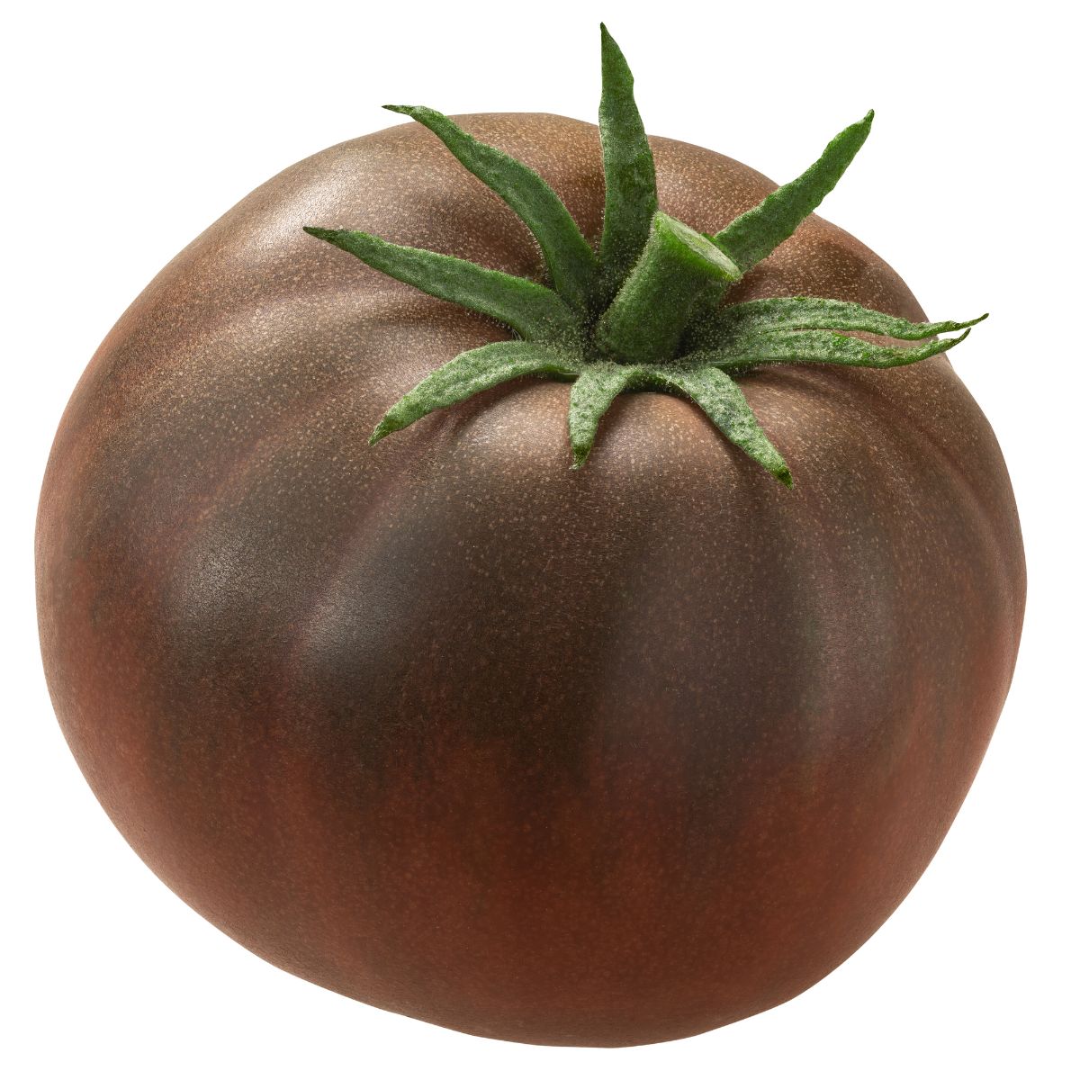 A black krim tomato on a white background.