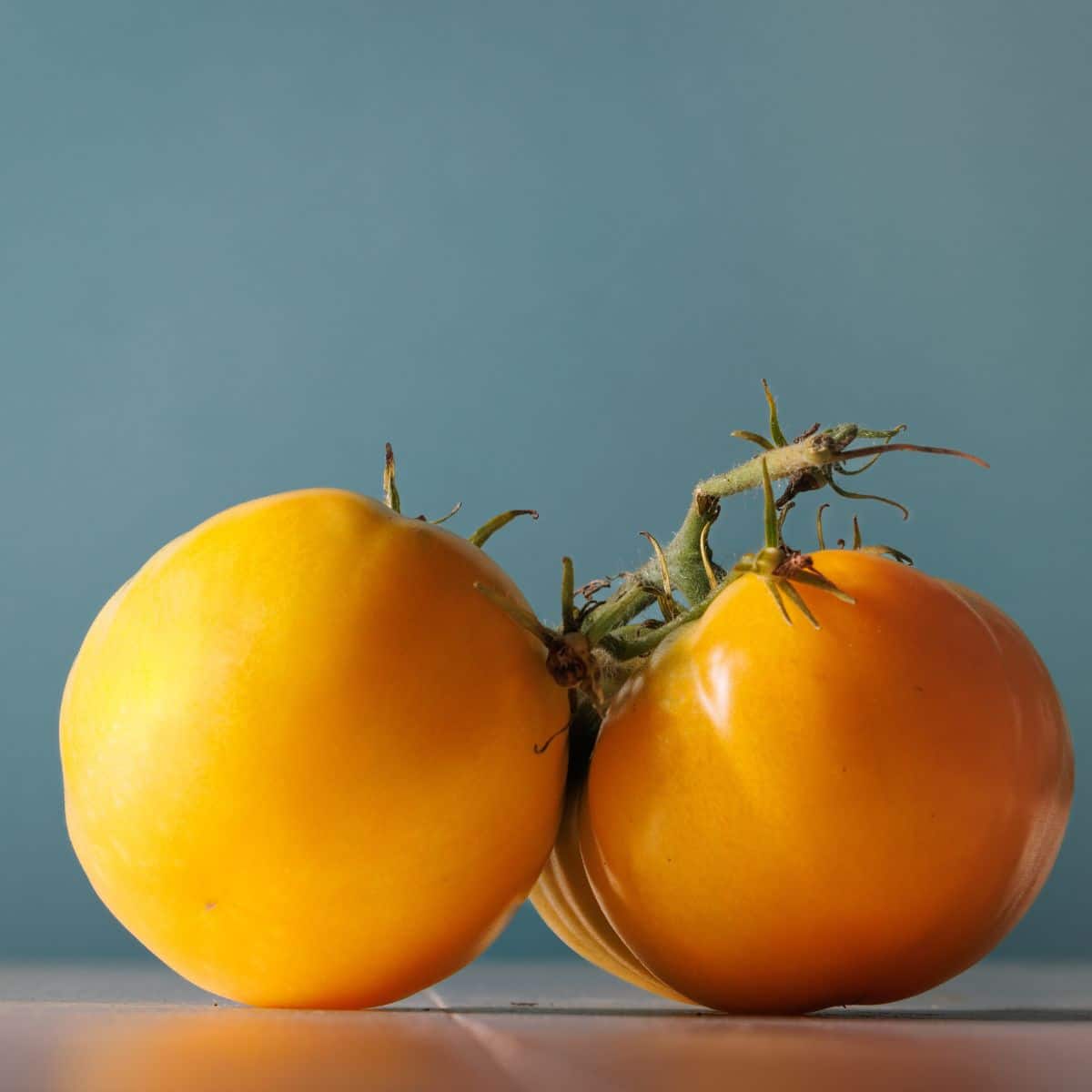 Two azoychka tomatoes on a counter.