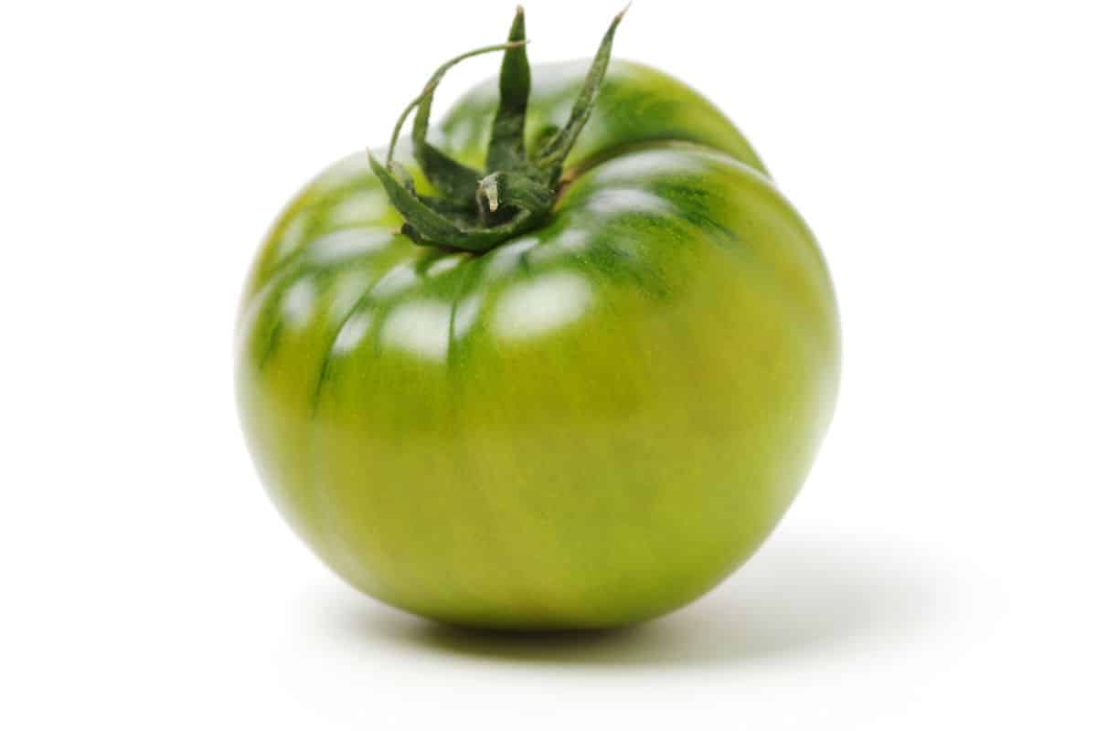 Evergreen tomato on a white background.