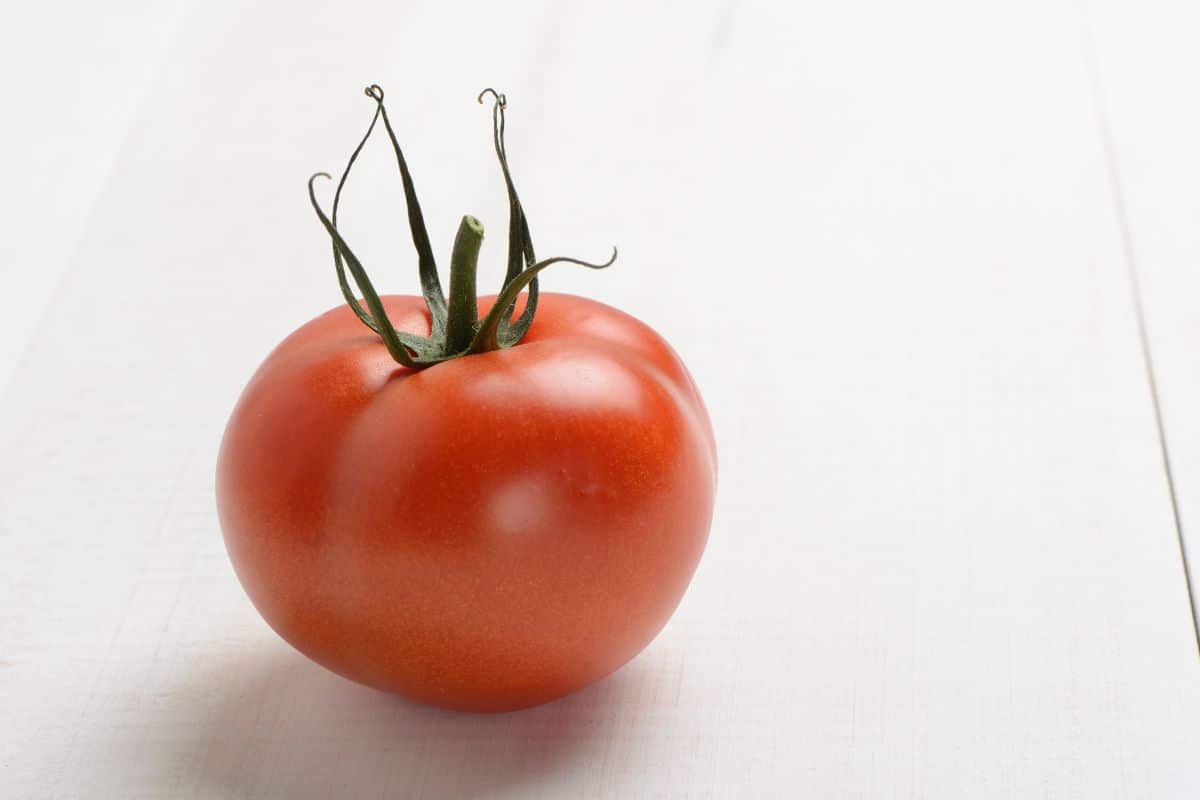 Hangover tomato on a white background.