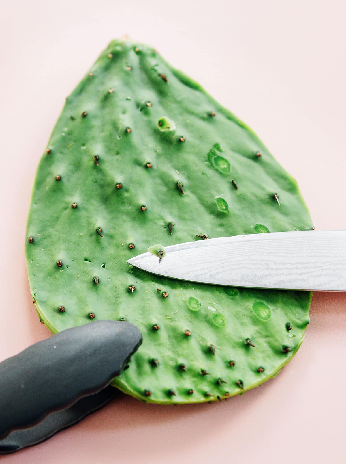 Cutting thorns off of cactus paddles