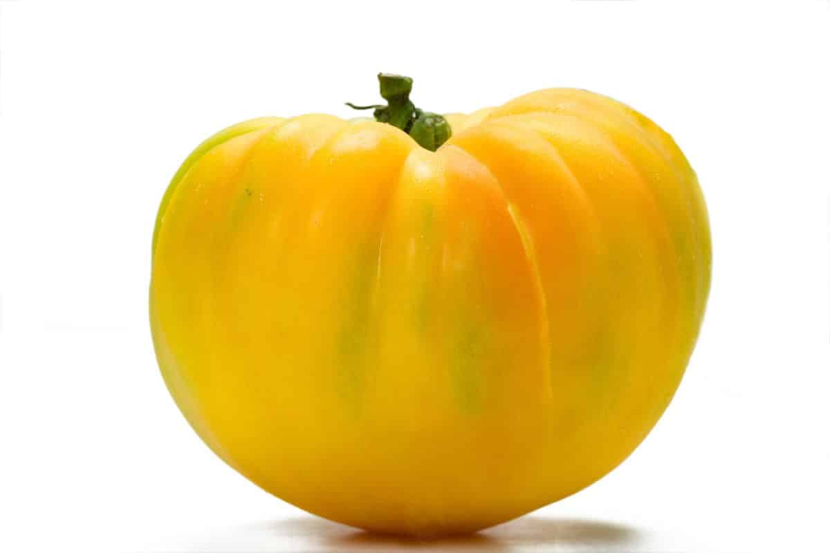 A lillians yellow heirloom tomato on a white background.