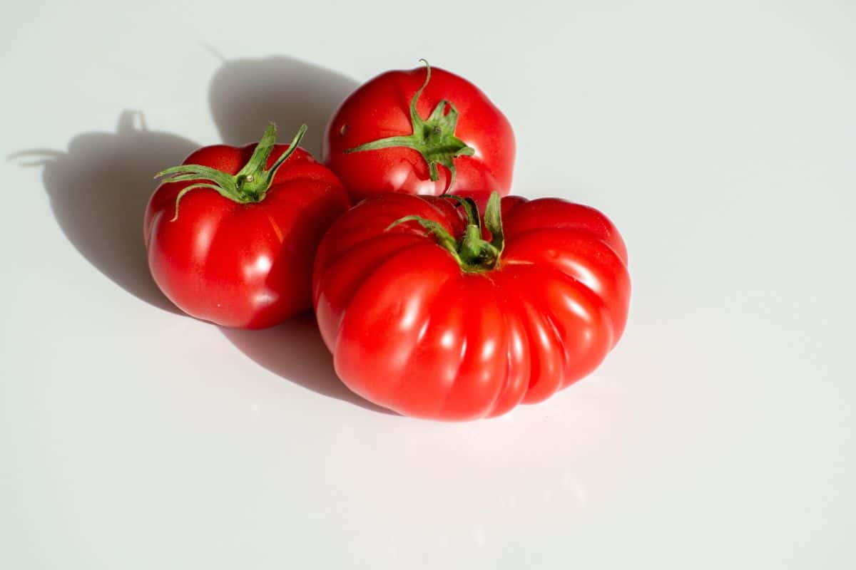 Three monetrosa tomatoes on a white background.