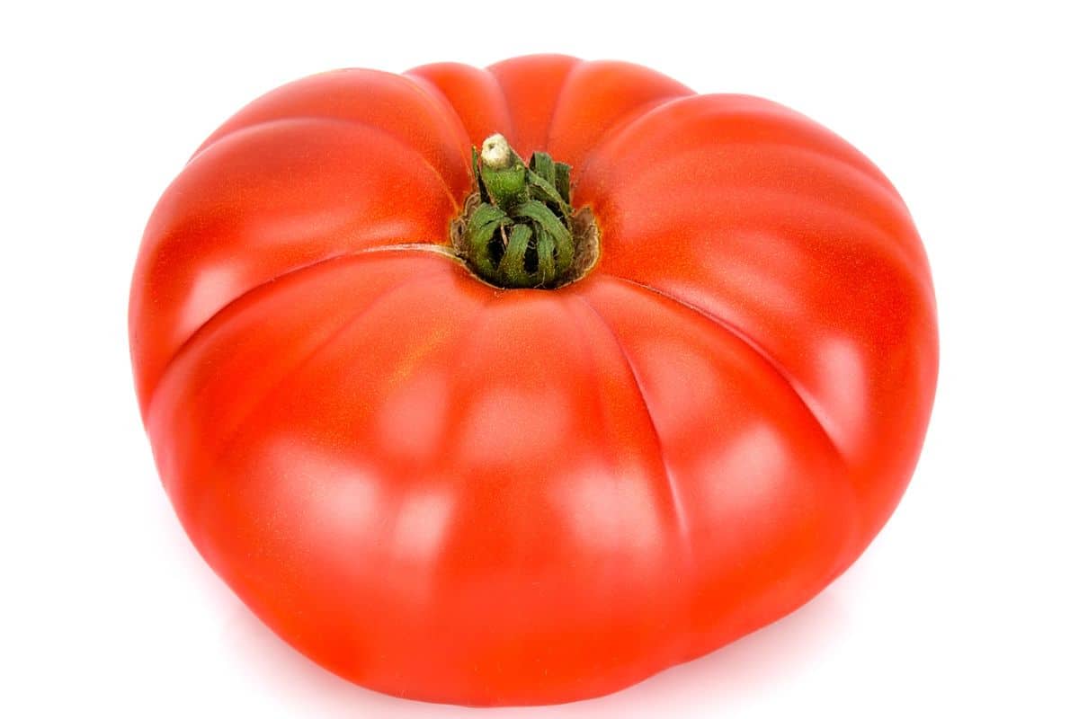 A morgage lifter beefsteak tomato on a white background.