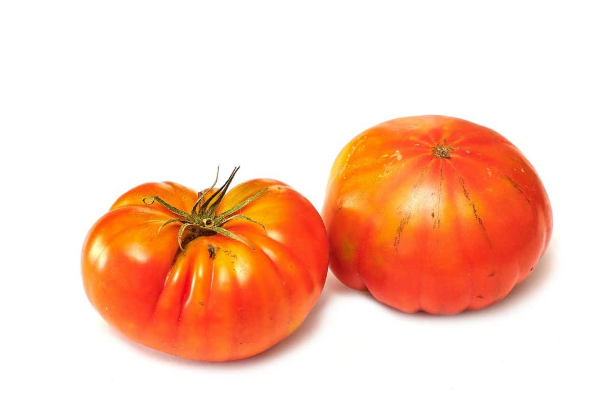 Two raf tomatoes on a white background.