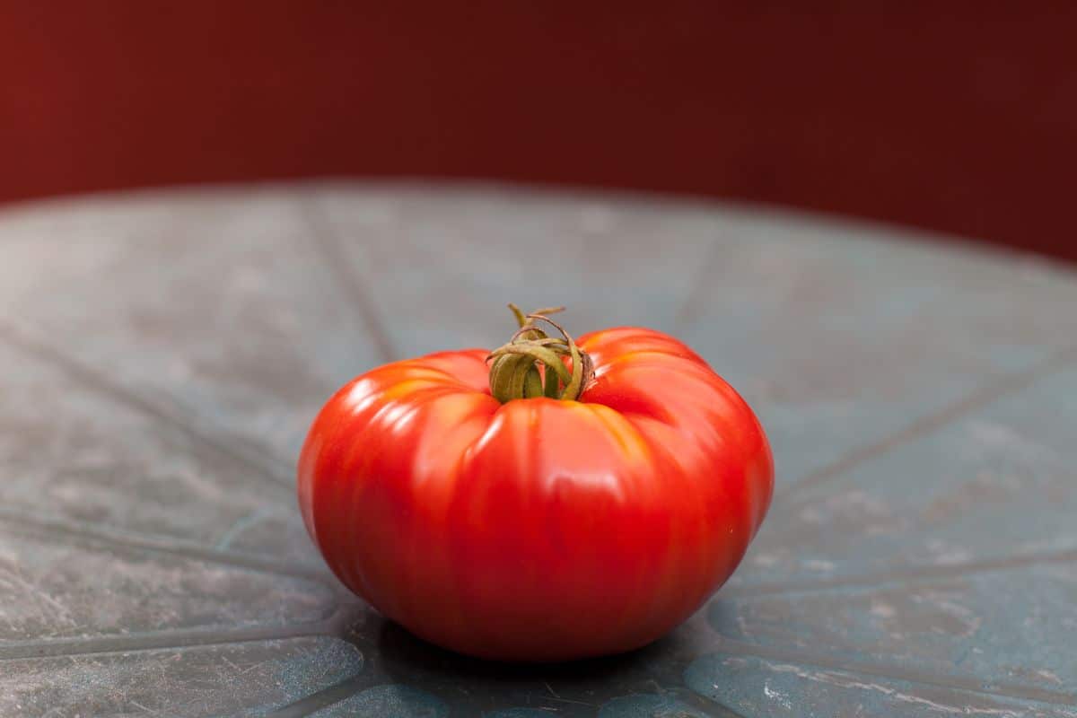 Santorini tomato on a table.