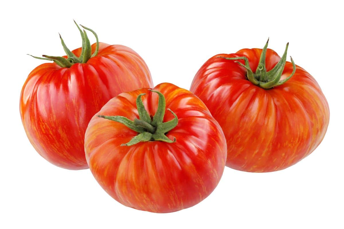 Striped german tomatoes on a white background.