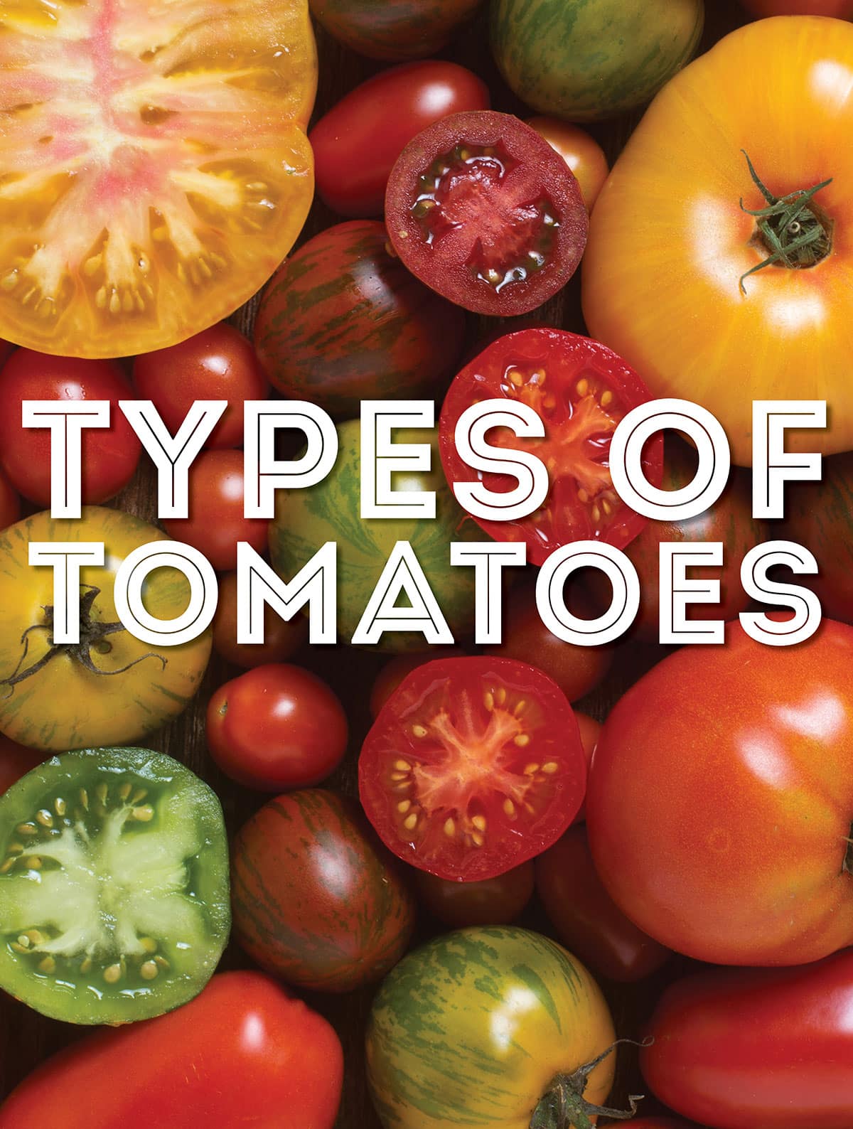 Collage that says "types of tomatoes:.