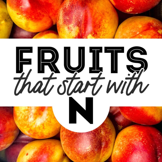 Collage that says "fruits that start with n".