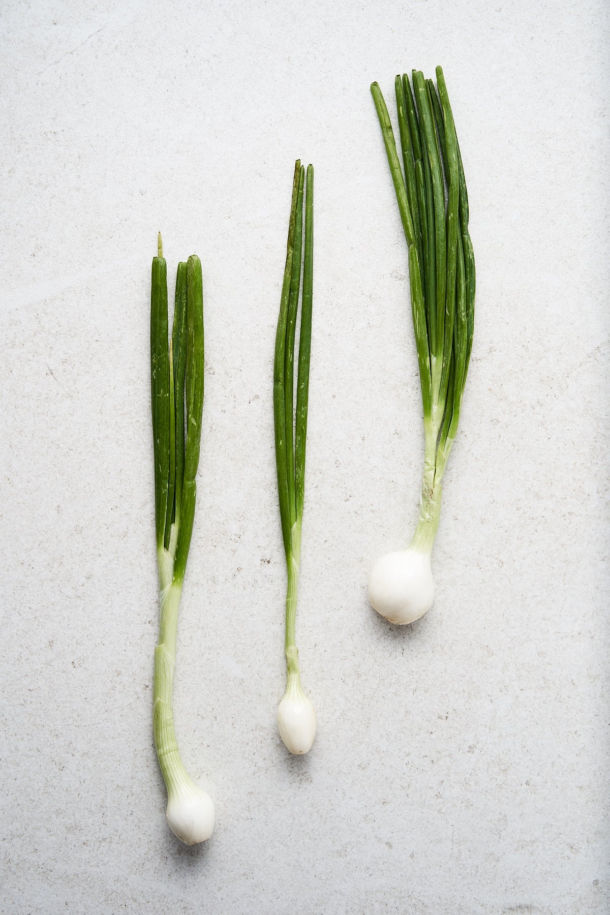 Green onions laying on a counter