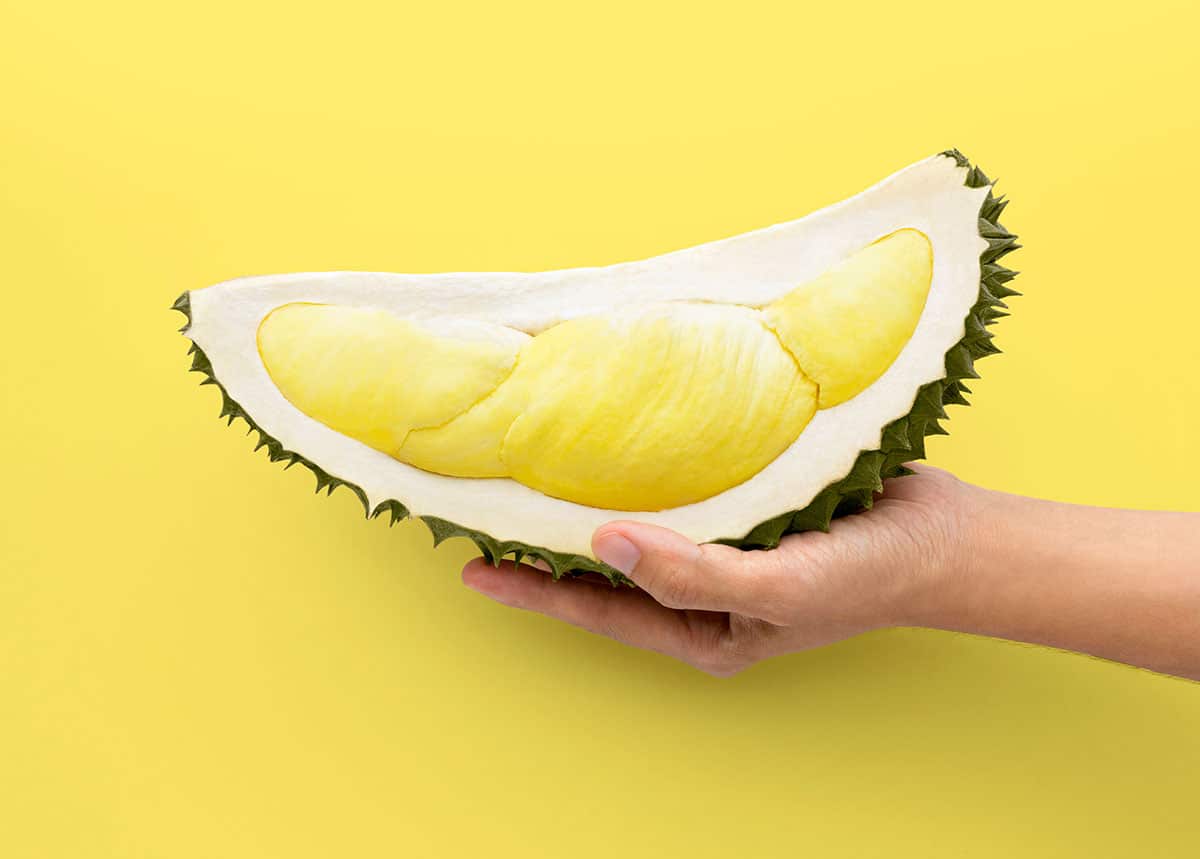 Hand holding durian