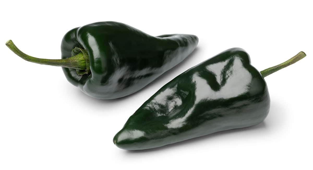 Poblano peppers on white isolated background.